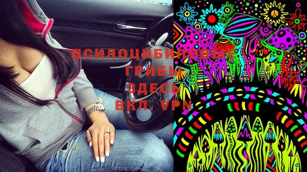 spice Балабаново