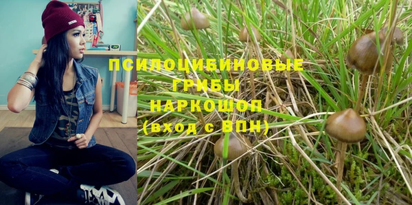 спиды Семёнов